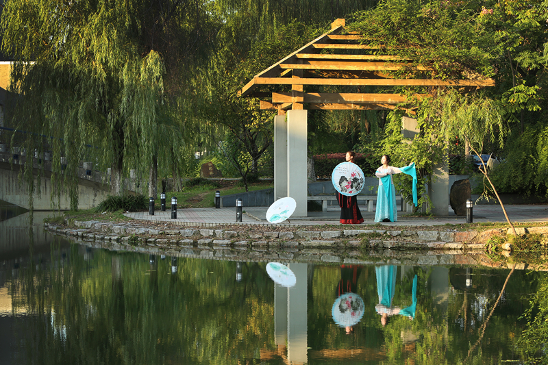 51暗网
 孙贝贝、倪书阳、葛益军；张培风